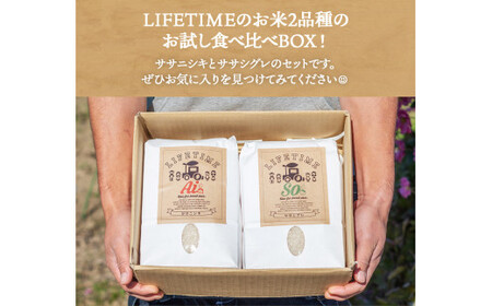米 食べ比べSET ササシグレ 玄米 5kg ササニシキ 玄米 5kg ささしぐれ ささにしき お米 コメ こめ おこめ ご飯 ごはん 希少 優しい 甘み