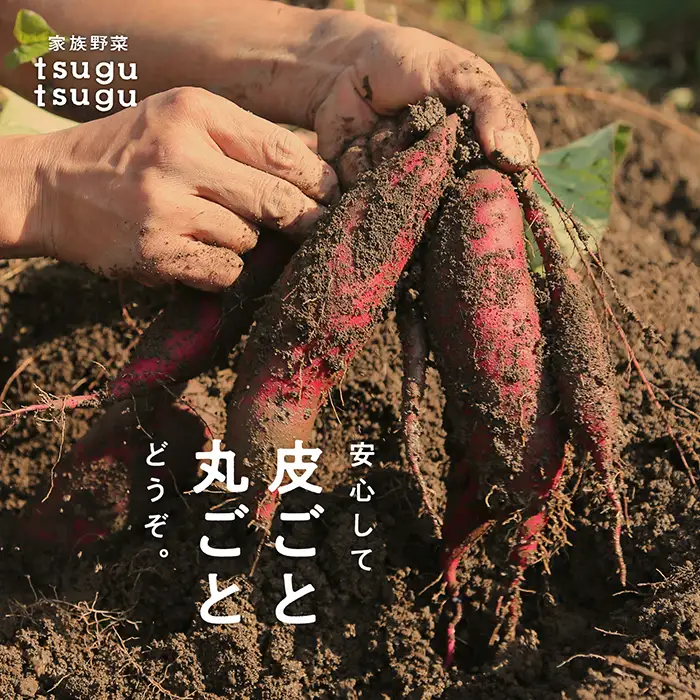 【先行予約】紅はるか 5kg ねっとり甘～い おいもさん 【農薬・化学肥料不使用】