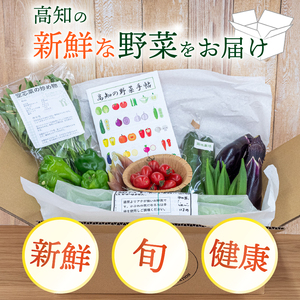 【 野菜 】 野菜セット 6～8品