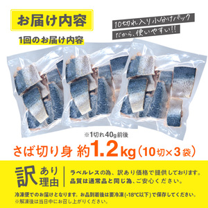 訳あり・業務用さば 切り身 (総計約1.2kg・30切) 訳あり さば 切り身 セット スピード発送 冷凍 国産 切身 魚 海鮮 おかず 骨抜き 骨なし 骨取り 個包装 鯖 惣菜 簡単調理 無塩 フライ 塩焼き 味噌煮 小分け魚 切り身魚 【AQ88】【やまろ渡邉】