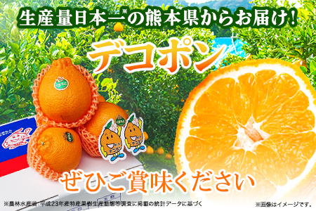 デコポン 約3kg 熊本県産 (荒尾市産含む) 不知火 柑橘 フルーツ 果物 フレッシュフーズ 《2027年3月上旬-4月中旬頃出荷》 美味しいデコポン 旬のデコポン ジューシーデコポン フルーツデコポン