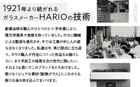 HARIO ネックレス＆ピアス セット「シロツメクサ」シリーズ」［HAP-C-003］［HAP-C-004］｜ HARIO ハリオ_DL09