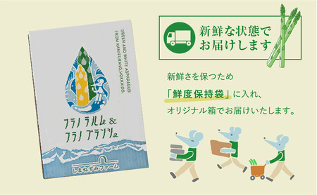 【令和8年産】 〔メディア掲載されました〕 ホワイト アスパラガス 2L 800g 春アスパラ 野菜 旬 新鮮 産地直送 甘い 極太 お取り寄せ グルメ 高評価 限定 北海道 上富良野産 