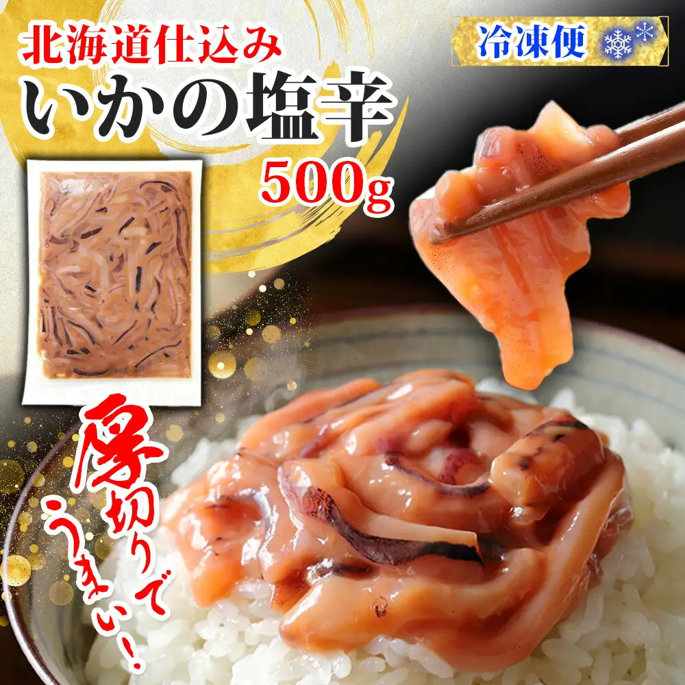 3163. イカの塩辛 500g イカ スルメイカ いか 珍味 海鮮 魚介 塩辛 ご飯のお供 烏賊 送料無料 北海道 弟子屈町