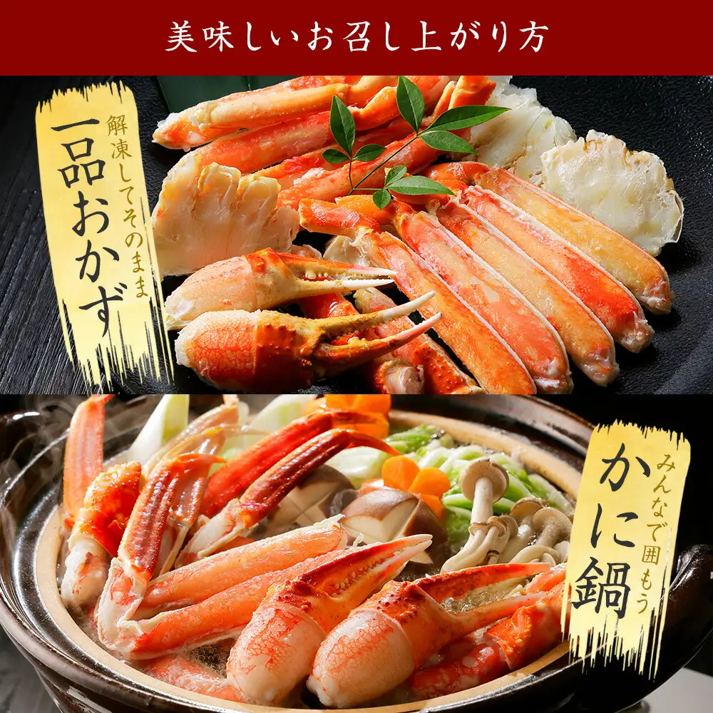 3375. ボイルズワイガニ足 800g 食べ方ガイド・専用ハサミ付 カニ かに 蟹 海鮮 送料無料 期間限定 数量限定 北海道 弟子屈町
