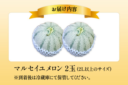 【先行予約】マルセイユメロン 2玉 (2L以上のサイズ) 糖度15度以上 減農薬にこだわった新鮮で安心な川合農園のメロン 【2026年6月中旬以降発送予定】【メロン めろん フルーツ 旬 デザート 果物 くだもの 果実 赤肉 糖度 甘い 国産】 [A-7505]