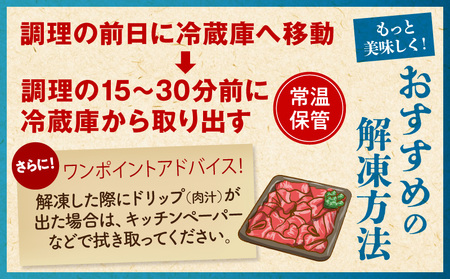 牛肉 宮崎牛 切り落とし 1kg 牛肉