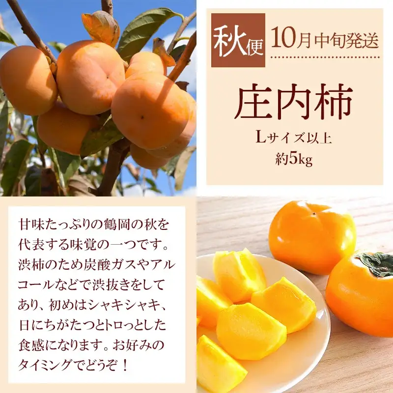 【令和8年産先行予約】 鶴岡から春夏秋のフルーツ定期便【3回お届け】山形県鶴岡産　株式会社 元青果