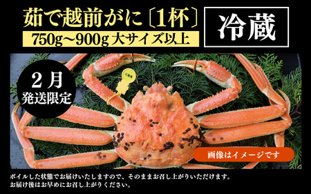 【先行予約】【2月発送限定】茹で越前がに 1杯 750g～900g（大サイズ以上）《新鮮！茹でたてを発送》／ 高級 福井 ブランド ズワイガニ 黄色タグ ボイル 冷蔵 蟹 カニ 期間限定 ※2027年2月上旬～2027年2月下旬で発送 [aw002-x003_02]