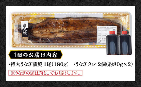 【12回定期便】国産 うなぎ 蒲焼 特大1尾 /すみまる [UDH012] うなぎ