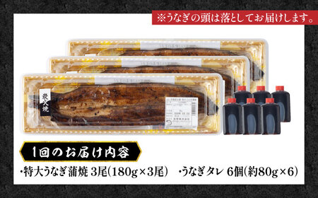 【12回定期便】国産 鰻 うなぎ蒲焼 特大3尾 /すみまる [UDH016] うなぎ