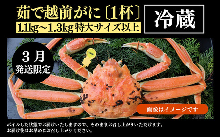 【先行予約】【3月発送限定】茹で越前がに  1杯 1.1kg～1.3kg《新鮮！茹でたてを発送》／ 高級 福井 ブランド ズワイガニ ボイル 黄色タグ 冷蔵 蟹 カニ 期間限定【最終寄付 3月10日まで】※2027年3月上旬～2027年3月中旬で発送 [aw002-x004_03]