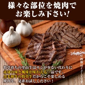 国産黒毛和牛 牧草育ちの里山牛 焼肉セット 計900g 黒毛和牛 和牛 肉 牛肉 国産 カタロース カルビ 赤身 焼肉 BBQ b8-032