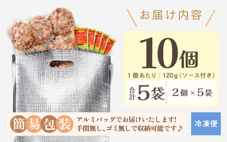 ハンバーグ 120g × 10個 ソース付き 生ハンバーグ [A-2262]