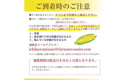 絶品！市川三郷町産甘々娘（とうもろこし）12本入り 5kg箱　じろう農園[5839-1336]