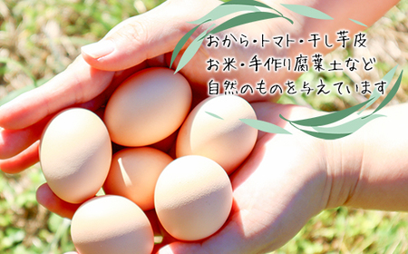 【定期便】土佐ジローたまご（1箱36個入）×3回　約4週間毎に1回