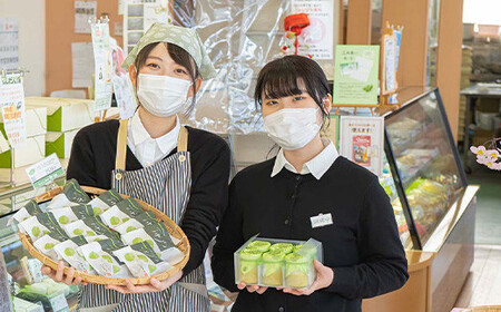 じんだんのチーズケーキ 1ホール 12cm 『じんだん本舗大江』 スイーツ 菓子 ずんだ 山形県 南陽市 [1734]