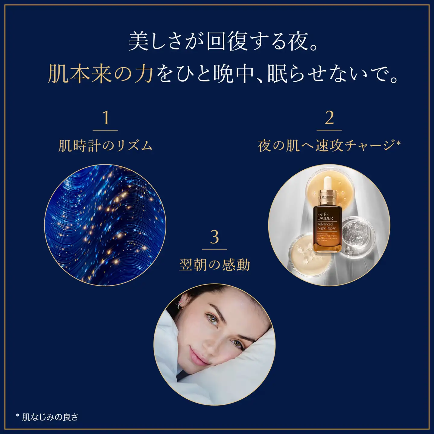【ふるなび限定】エスティ ローダー アドバンス ナイト リペア SMR コンプレックス 50mL 4個セット 【 エスティローダー ナイトリペア ANR 美容液 Estee Lauder EsteeLauder 公式 スキンケア 美容 化粧品 コスメ 】 FN-Limited-SP