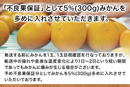  訳あり 大粒みかん 6kg  5L～3Lサイズ 《2027年1月中旬-2月末頃出荷》 みかん 訳ありみかん 熊本県産みかん 大容量