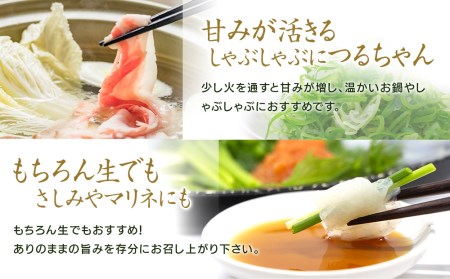 弦本農園のこだわりのつるちゃんねぎ 80g×10束 | 葱 ねぎ ネギ 小葱 小ねぎ 小ネギ 薬味 大分県 中津市