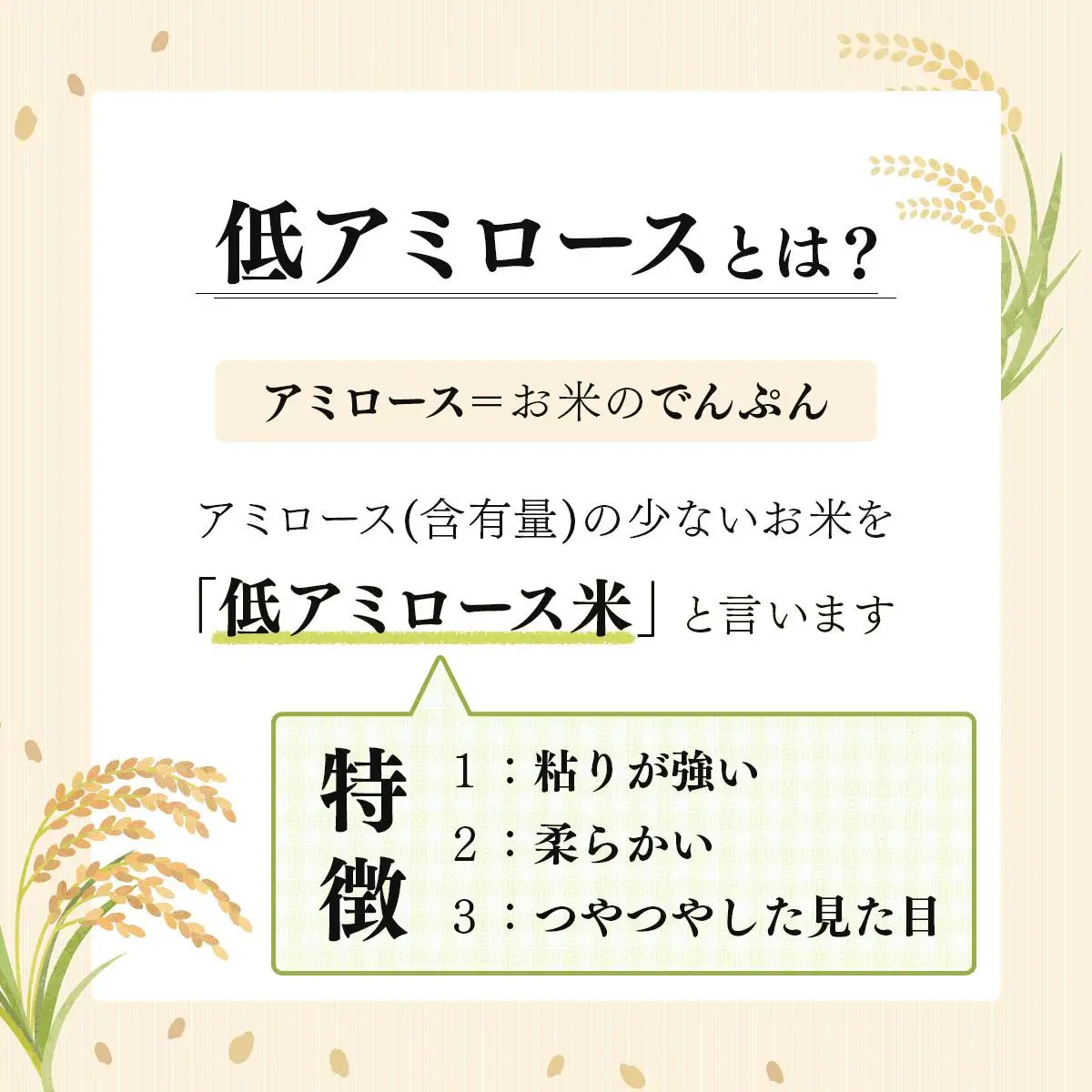 令和7年産 北海道岩見沢市産 あやひめ玄米5kg ≪沖縄・離島配送不可≫