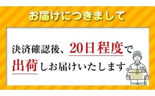 【数量限定】 Apple iPad 第8世代 Wi-Fi +Cellularモデル シルバー / スペースグレイ 32GB ｜ iPad アイパッド タブレット
