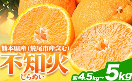 不知火 約 4.5kg～ 5kg みかん《2027年2月下旬-4月下旬頃出荷》熊本県産(荒尾市産含む) 柑橘 フルーツ フレッシュフーズ 不知火 果物 デコポン と同品種 送料無料 果物 シラヌヒ シラヌイ フレッシュフーズ 美味しい不知火 旬の不知火 ジューシー不知火 フルーツ不知火