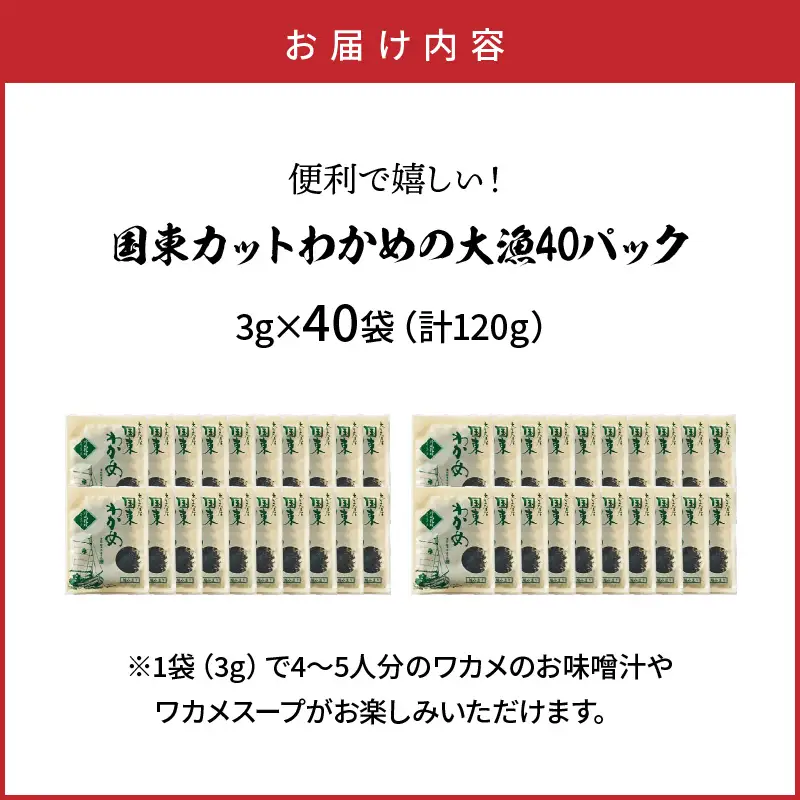 【選べる容量】便利で嬉しい！国東カットわかめの大漁パック_0005N