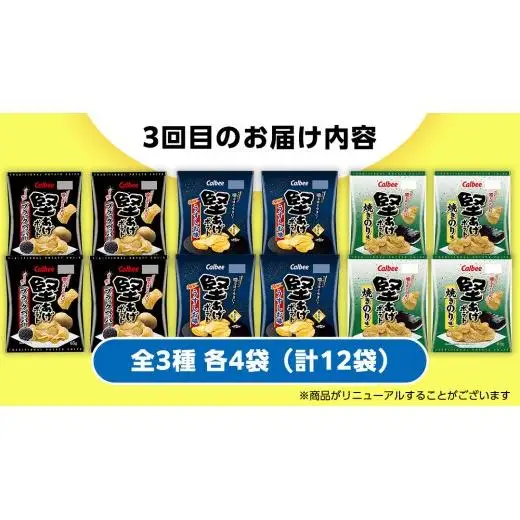 【 スナック菓子 3ヶ月 定期便 】 カルビー 湖池屋 人気 48袋 詰め合わせ バラエティ セット