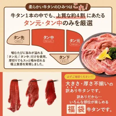 Y61-41 【訳あり】厚切り 牛タンステーキ 塩レモン（600g） 牛タン