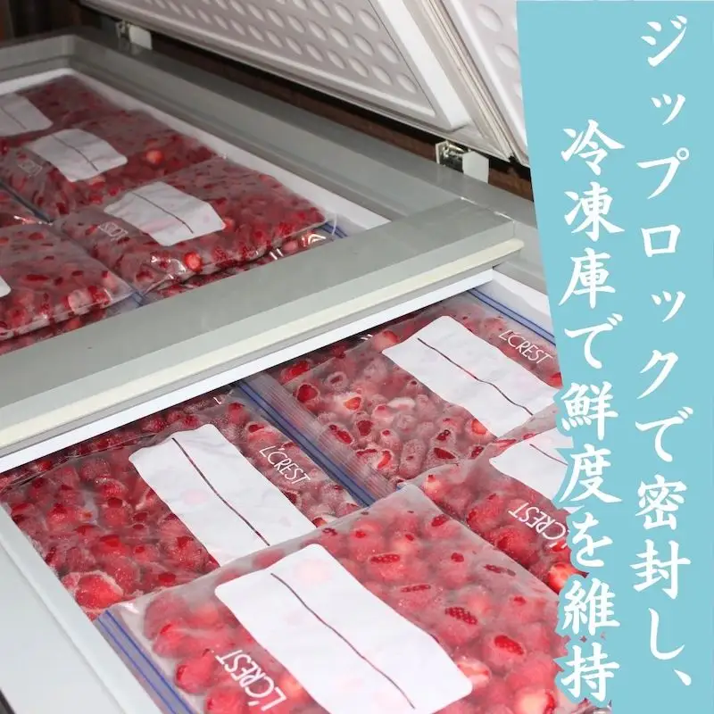 【先行予約_2026年発送】 冷凍いちご  紅ほっぺ 3kg　【 いちご 】