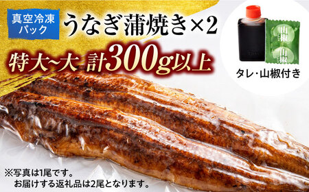 うなぎ 蒲焼き 2尾 多治見市/澤千 鰻 うなぎ ウナギ 老舗 蒲焼き かば焼き うな丼 うな重 ひつまぶし[TDD004]