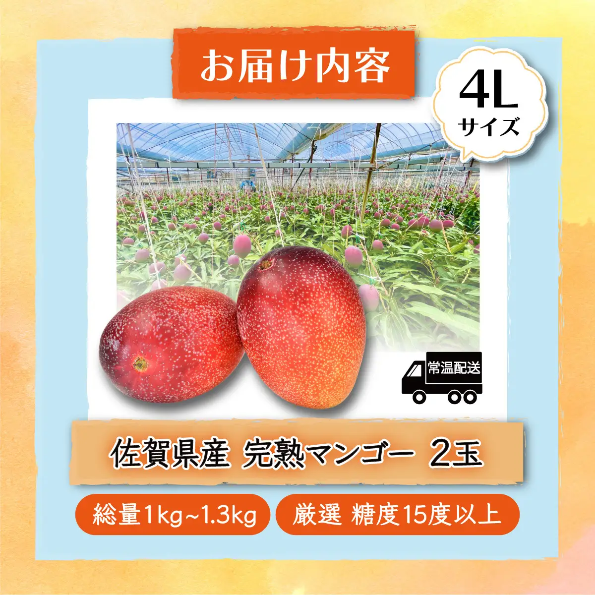  厳選！濃厚完熟マンゴー 4Lサイズ（糖度15度以上）【2026年5月中旬頃から6月初旬発送】 D-125