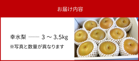 完熟採り　もりやま梨（幸水）3キロ～3.5キロ【先行予約】 CW-0006