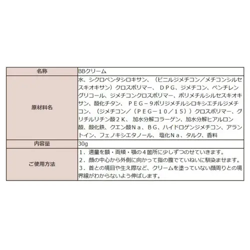 THE FUTURE ( ザフューチャー ) BBクリーム 30g 男性化粧品 フェイス用 化粧品 コンシーラー ファンデーション [BX027ya]