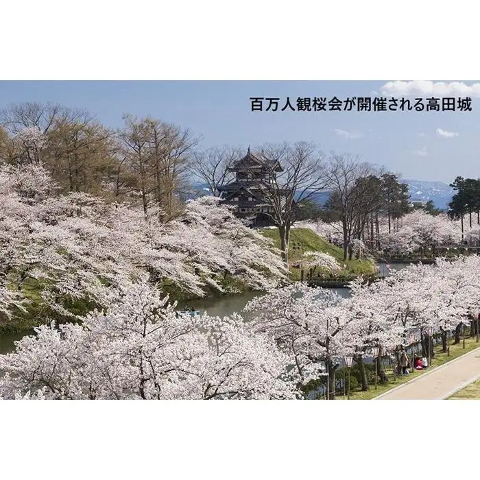 【新潟県】JTBふるさと旅行券（90,000円分）有効期間5年 | 予約 宿泊 観光 体験 温泉 ホテル 旅館 チケット 子供 子連れ カップル 家族 店頭 電話 新潟