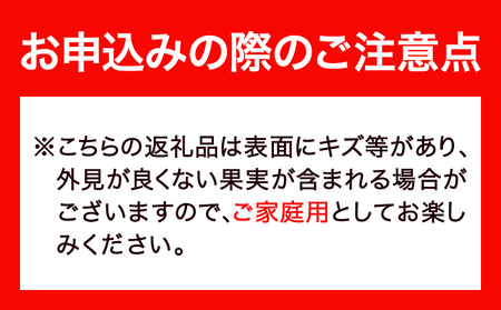 はっさく 皮むきに便利なムッキーちゃん付き 約10kg ときわオンライン【先行予約】《2026年10月上旬-2027年2月中旬頃出荷》 和歌山県 紀の川市 フルーツ 果物 八朔 柑橘 送料無料