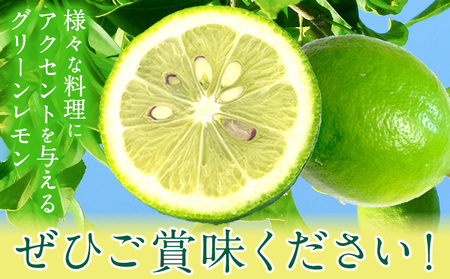 グリーンレモン 約5kg ときわオンライン【先行予約】《2026年10月上旬-2027年2月末頃出荷》 柑橘 和歌山県 紀の川市 フルーツ 果物 レモン グリーンレモン 檸檬 送料無料