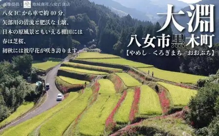 【福岡八女・奥八女】里山の恵み　お野菜＆手仕込みセット定期便【全３回】※配送不可：北海道と離島（沖縄本島を含む） 072-T065