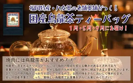 【福岡の国産黒毛和牛】博多和牛の焼肉・BBQお楽しみ定期便【全１２回】　072-T062