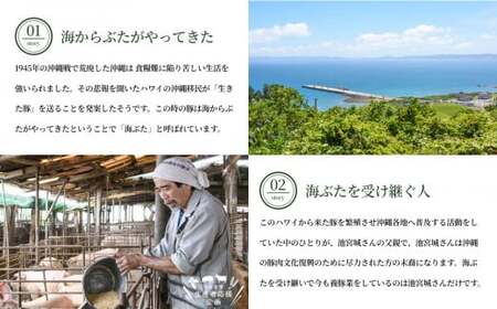 うるまの海ぶた　切り落とし（計2.0kg）