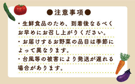 【3回定期便】地元農家さんが収穫した旬のお野菜 10種詰め合わせ / 野菜 旬 新鮮 採れたて 季節野菜 旬野菜 農家直送 野菜定期便 定期便 / 南島原市 / ミナサポ [SCW045]