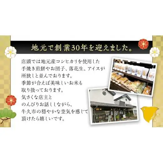 《あれこれ 煎餅 シリーズ》 おすすめ アラカルト 5袋 【レギュラー】 煎餅 詰合せ 厳選 セット