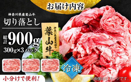 葉山牛 牛肉切り落とし 300g×3パック 牛肉 [AKAG002]