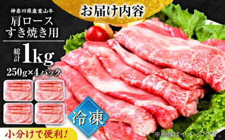 葉山牛肩ロースすき焼き用 250g×4パック 計1kg すきやき 牛肉 冷凍 肩ロース ろーす  横須賀 すき焼き すきやき 和牛 横須賀  横須賀 すき焼き すきやき すき焼き 【株式会社羽根】 [AKAG005]