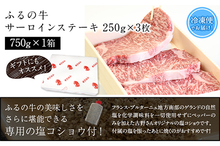 【3ヶ月定期便】ふるの牛（黒毛和牛）特選サーロインステーキ 750g(250g×3枚) ゲランド塩付き A5 有限会社ふるの《お申込み月の翌月から出荷開始》 福岡県 鞍手郡 鞍手町 3回お届け 計3回 定期便 2kg以上