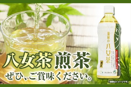 八女茶 煎茶ペットボトル 500ml×24本 株式会社親和園《30日以内に出荷予定(土日祝除く)》福岡県 鞍手郡 鞍手町 お茶 緑茶 茶 八女茶 ペットボトル 送料無料