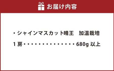 シャインマスカット晴王 1房（680g以上） 加温栽培【2026年7月上旬～8月上旬まで順次発送予定】【シャインマスカット シャイン マスカット 人気フルーツ 岡山フルーツ おすすめフルーツ 岡山県 倉敷市】