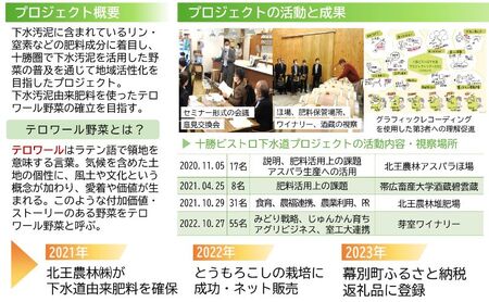 2026年発送先行予約 北海道 十勝 幕別産 とうもろこし 恵味ゴールド 6本「じゅんかん育ち」北王農林［十勝BISTRO下水道プロジェクト］【 とうもろこし とうきび コーン 野菜 フルーツ 甘い 】