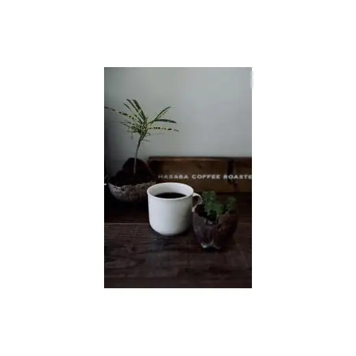 HASABA COFFEE Fresh Drip Bag
